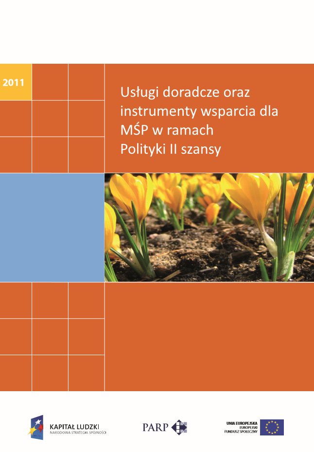 Usługi doradcze oraz instrumenty wsparcia dla MŚP w ramach Polityki II szansy