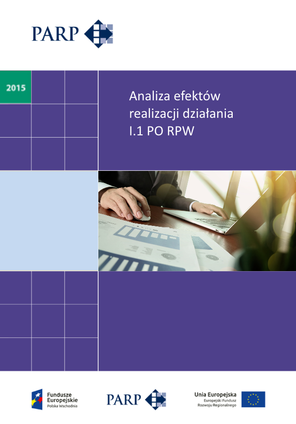 Analiza efektów realizacji działania I.1 PO RPW
